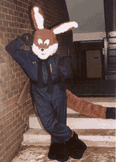 Kerwin's EDF Costume